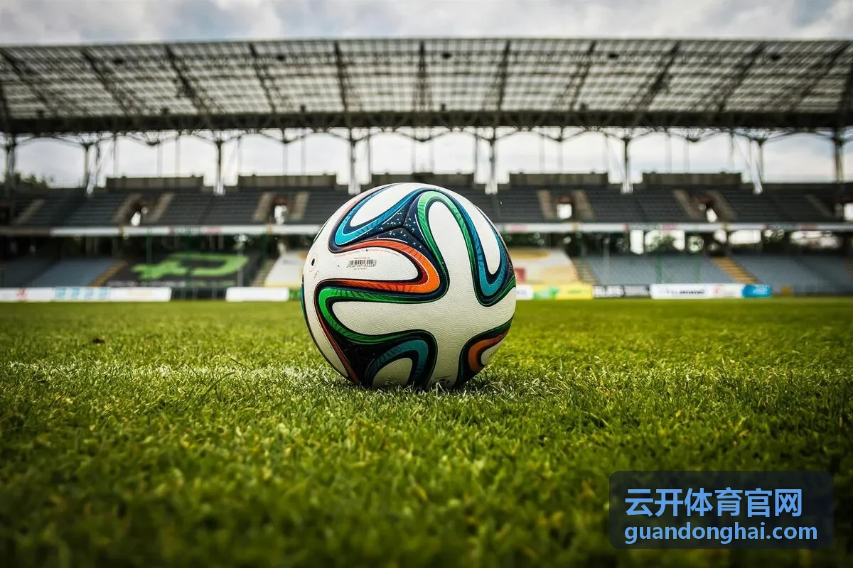 云开体育官网合作运动场馆内部空间